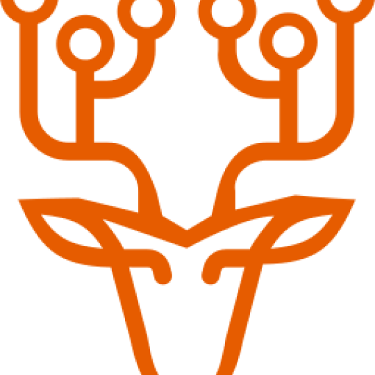 DFT Icon